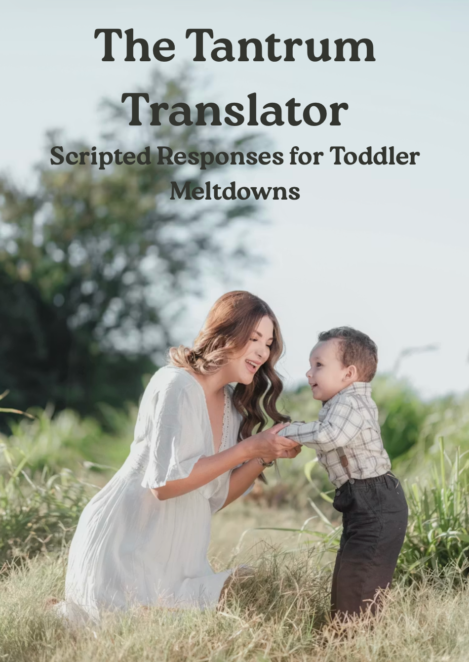 The Tantrum Translator Scripted Responses for Toddler Meltdowns